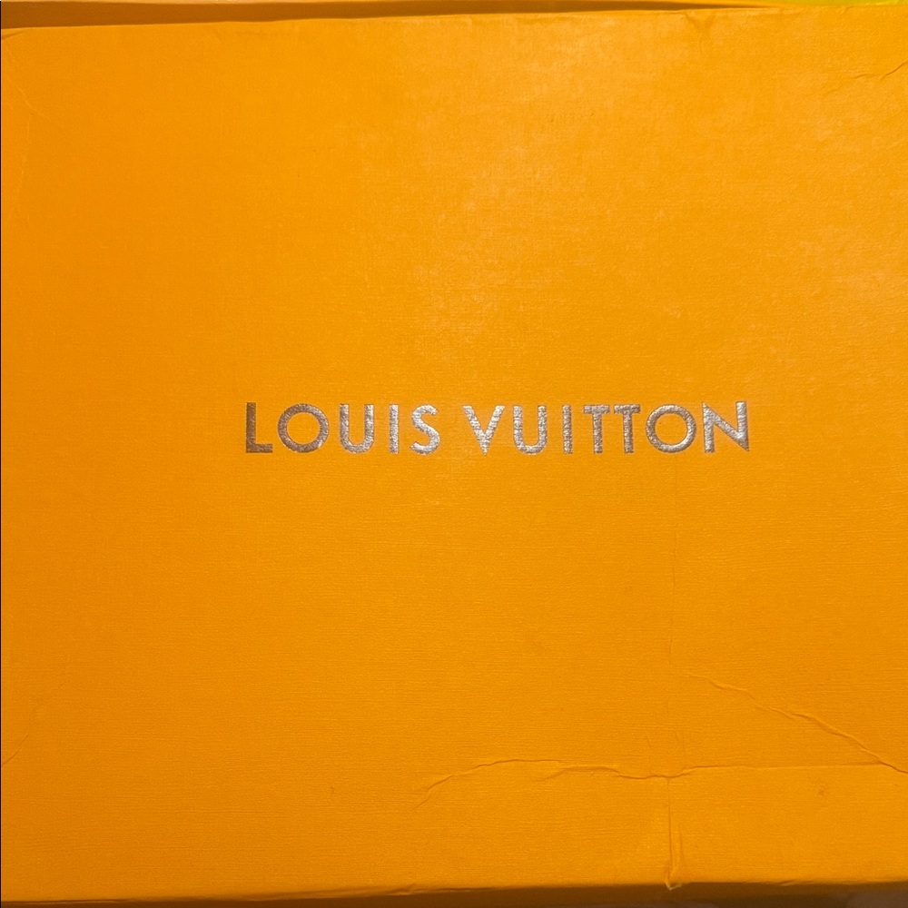 Louis Vuitton Tangerine Box with Silver Logo